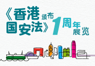 《香港国安法》颁布一周年展览
