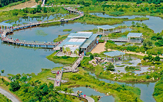 Hong Kong Wetland Park