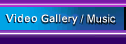 Video Gallery